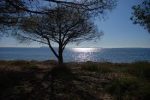 Plage des Salins- Plage du Pentagone